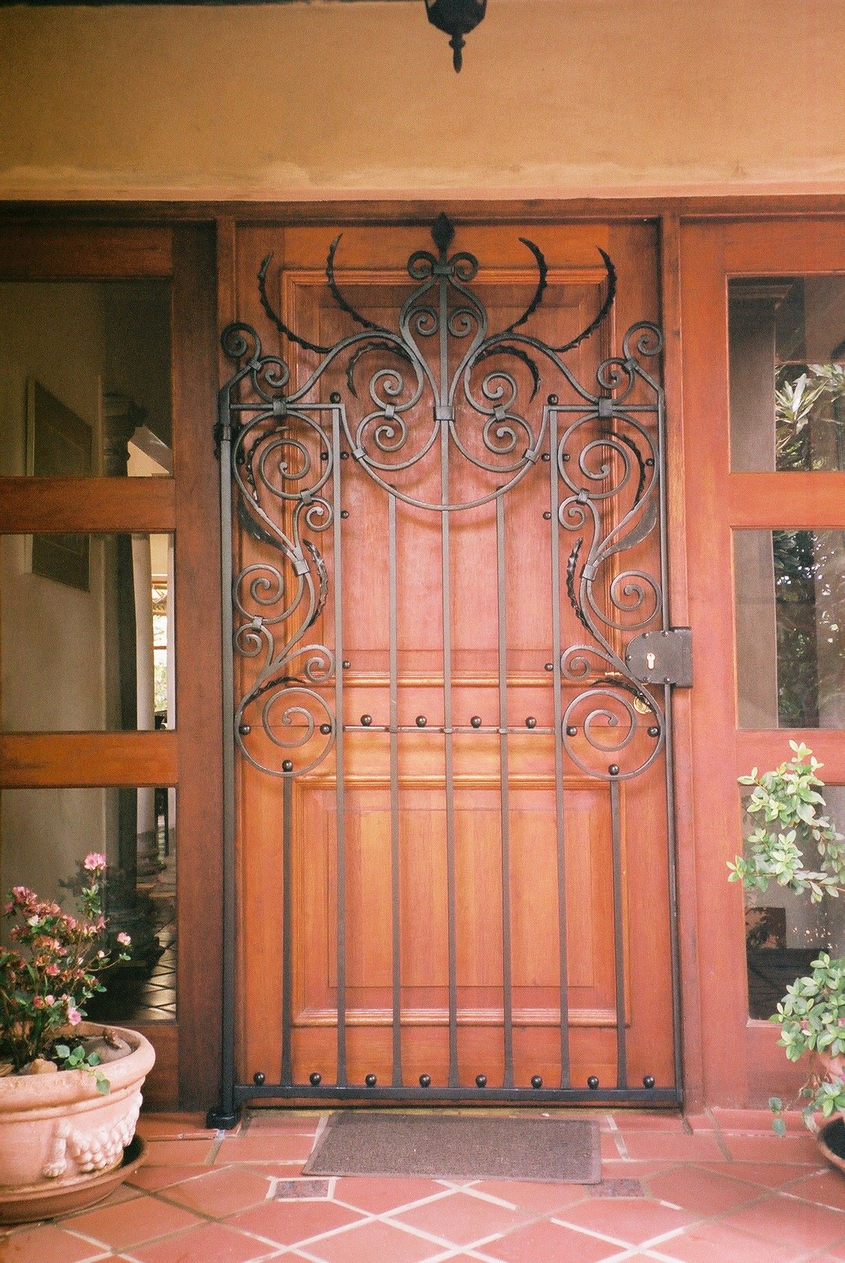 Front Door gate